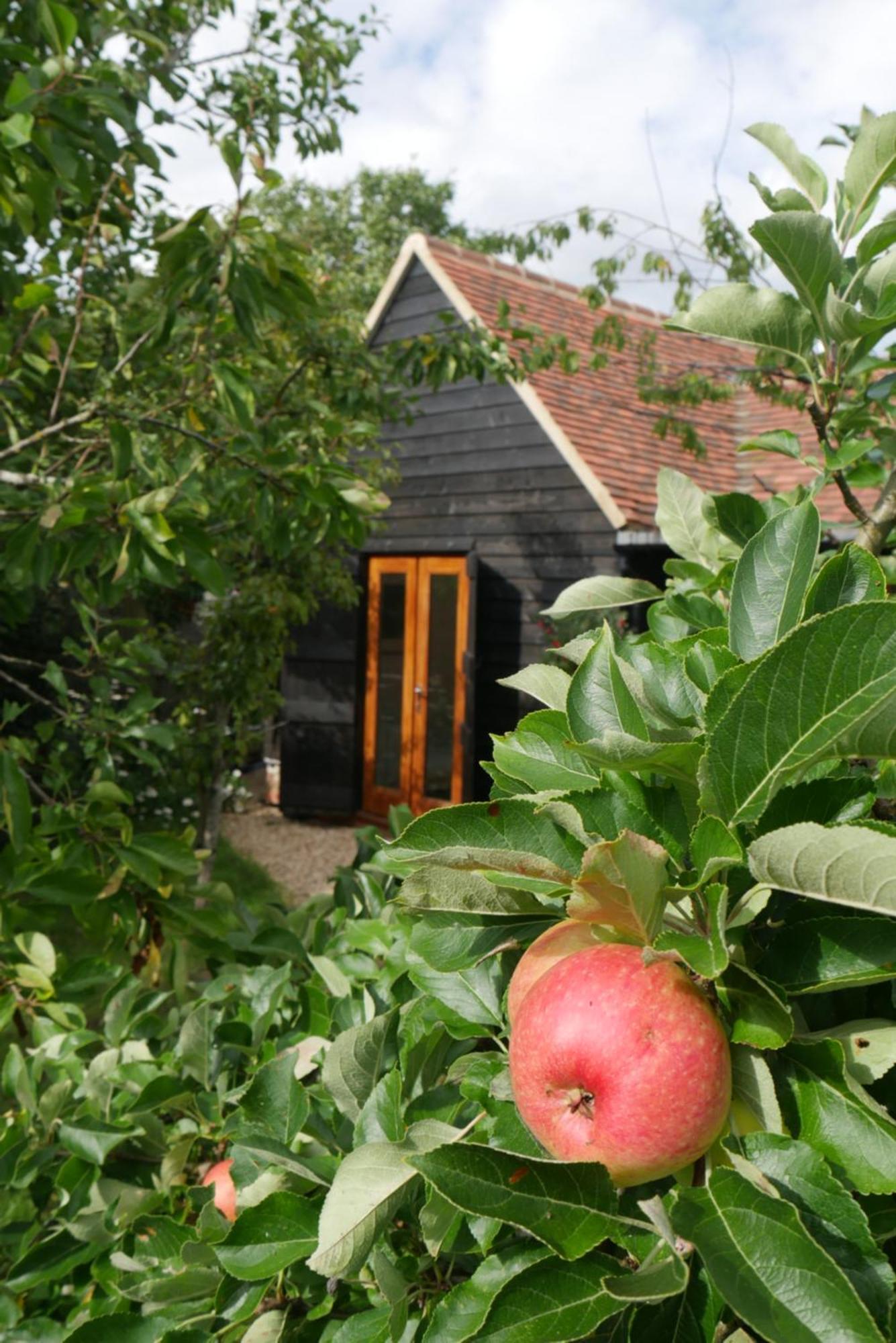The Little Orchard Villa Watlington  Exterior foto